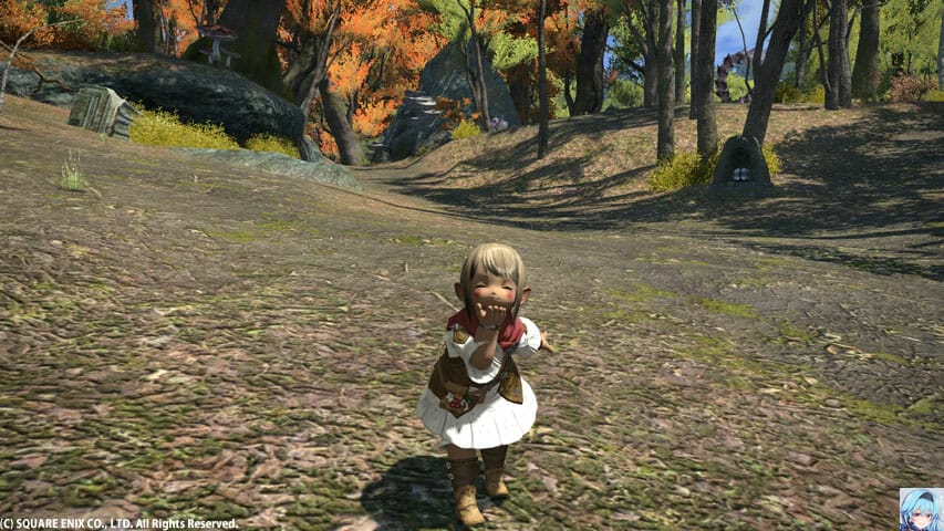 ファッションチェックララフェル女性