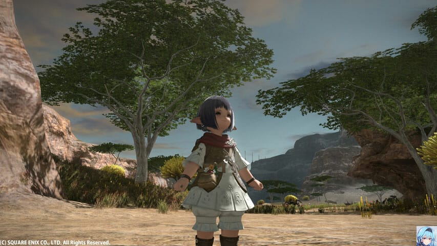 ファッションチェックララフェル女性